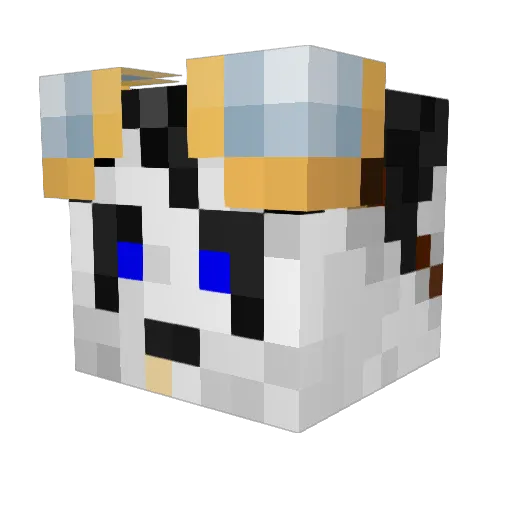 drm2999 Minecraft avatar head, 3D render