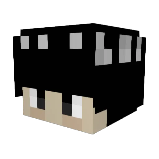 drmango10 Minecraft avatar head, 3D render