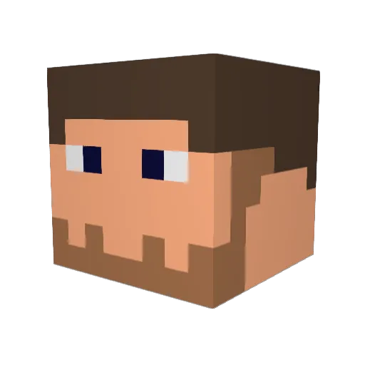 drn21 Minecraft avatar head, 3D render