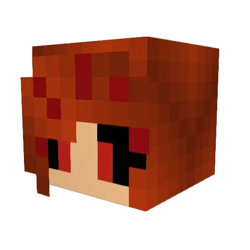 drodgers8052 Minecraft avatar head, 3D render