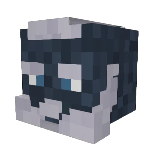 drodroy Minecraft avatar head, 3D render