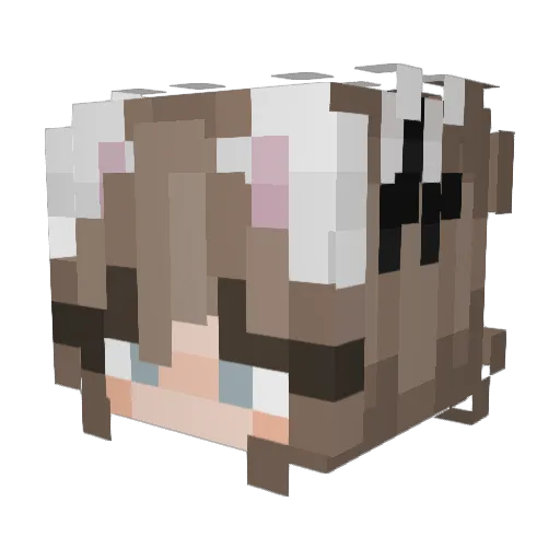 droflag64 Minecraft avatar head, 3D render