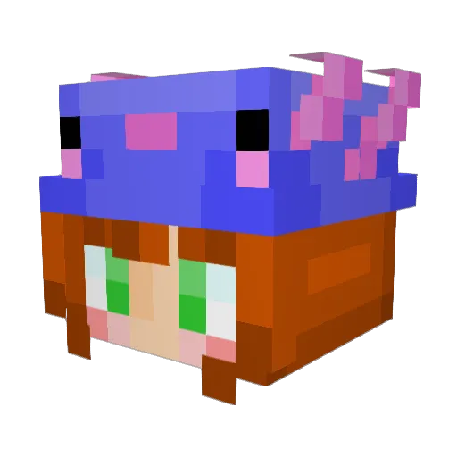 drog92 Minecraft avatar head, 3D render