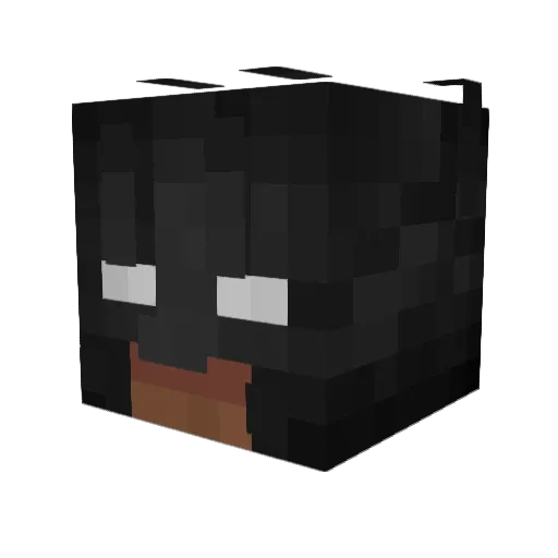 droopysacc Minecraft avatar head, 3D render