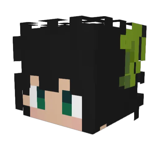 drorihades Minecraft avatar head, 3D render