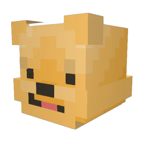 drowndolphin Minecraft avatar head, 3D render