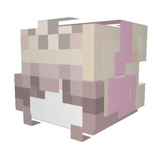 drowsy5 Minecraft avatar head, 3D render