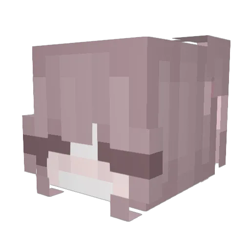 drowszie Minecraft avatar head, 3D render