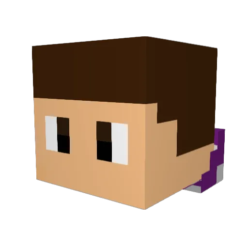 drpepper151 Minecraft avatar head, 3D render