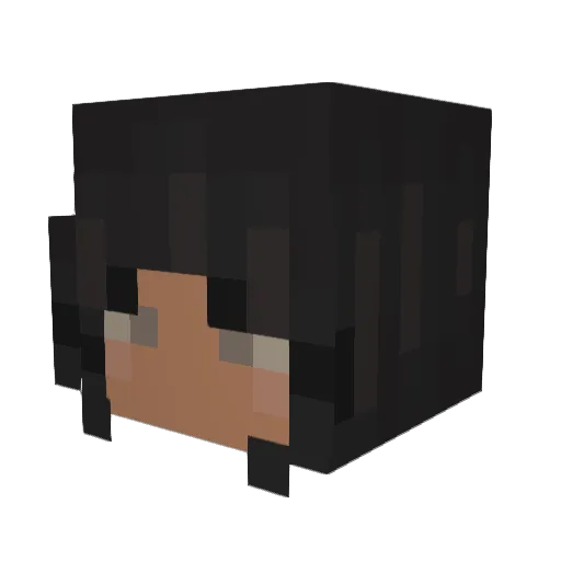 drpepperlover24 Minecraft avatar head, 3D render