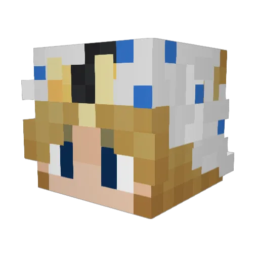 drpepperluvr10 Minecraft avatar head, 3D render