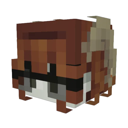 drpicky Minecraft avatar head, 3D render
