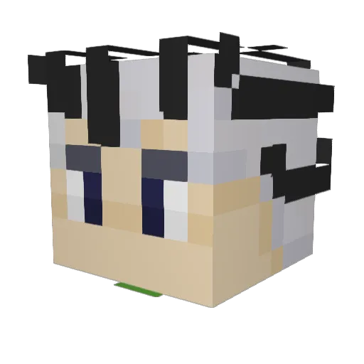 drpmeerkat Minecraft avatar head, 3D render