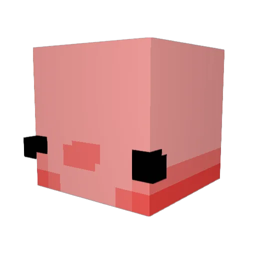 drrrdaburgeryt Minecraft avatar head, 3D render