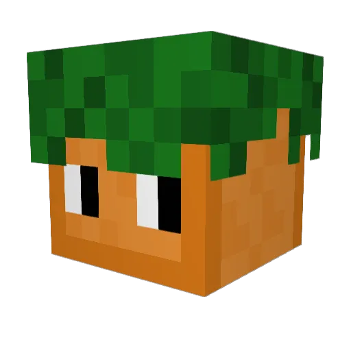drshoe_ Minecraft avatar head, 3D render