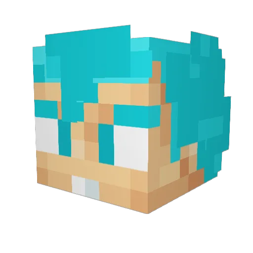 drstk Minecraft avatar head, 3D render