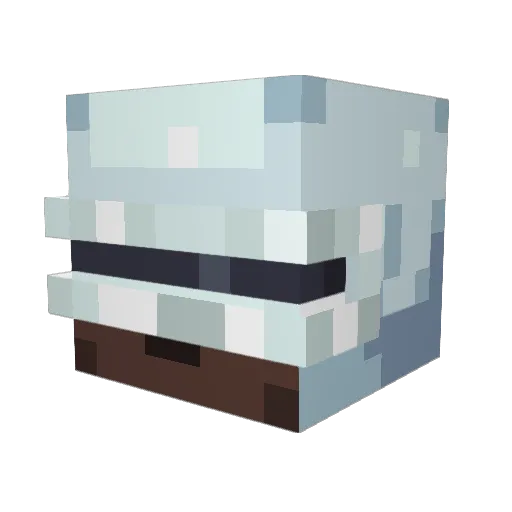 drubio23 Minecraft avatar head, 3D render