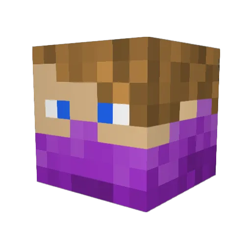 drucianka Minecraft avatar head, 3D render