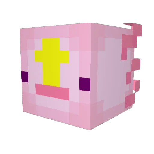 drudzik Minecraft avatar head, 3D render