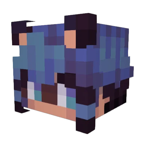 druid_nawa Minecraft avatar head, 3D render