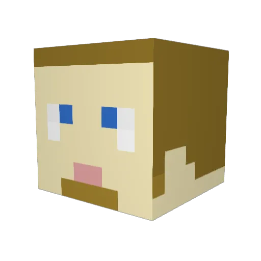 drummerbrady Minecraft avatar head, 3D render