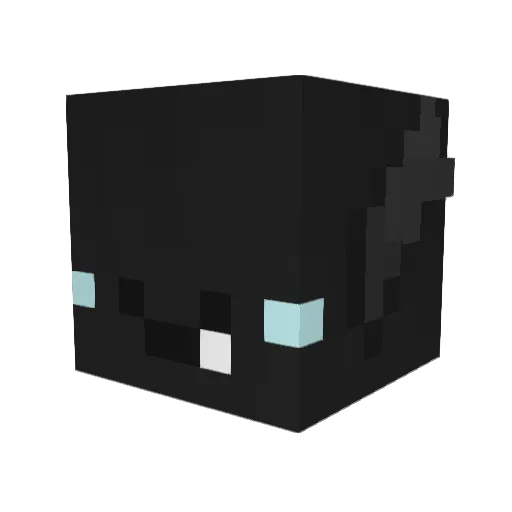 drummerdude2003 Minecraft avatar head, 3D render