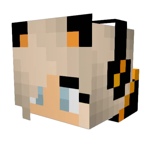 drunk_idiots_inc Minecraft avatar head, 3D render