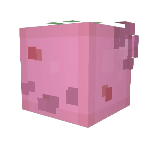 drunkbetch Minecraft avatar head, 3D render