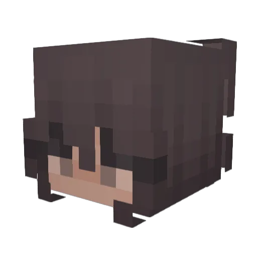 druxey Minecraft avatar head, 3D render