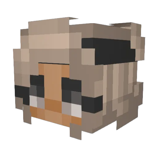 druzu Minecraft avatar head, 3D render