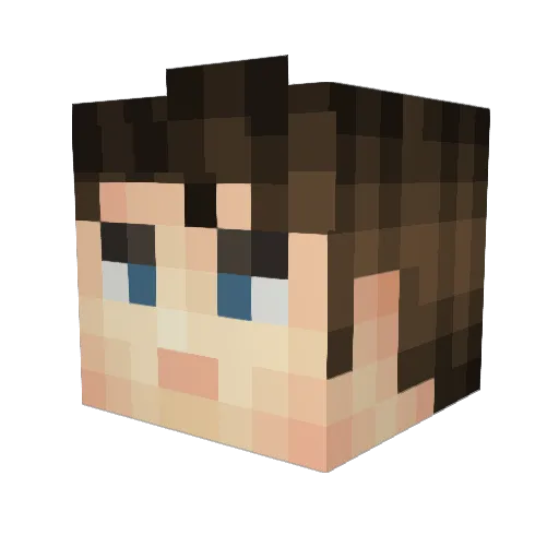 drwhogamerr Minecraft avatar head, 3D render