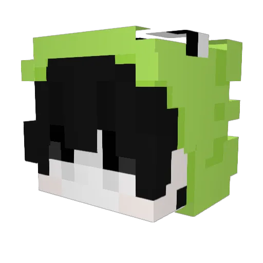 drxf Minecraft avatar head, 3D render