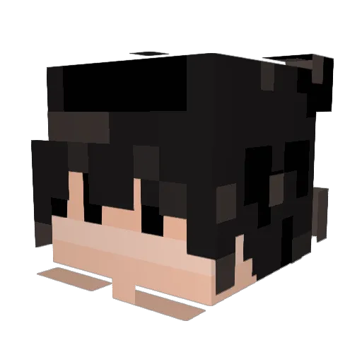 drybread90 Minecraft avatar head, 3D render