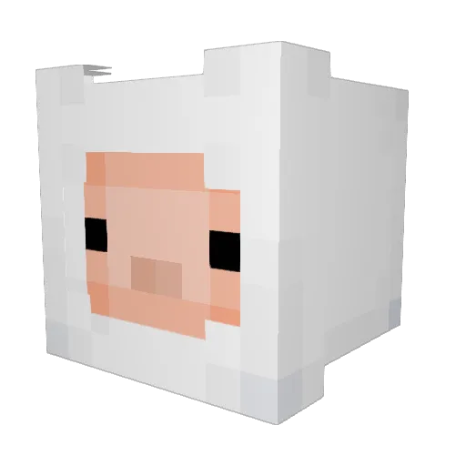 dryfives9 Minecraft avatar head, 3D render