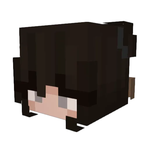 drynoodlezz Minecraft avatar head, 3D render