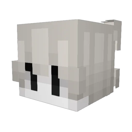 dryo1 Minecraft avatar head, 3D render