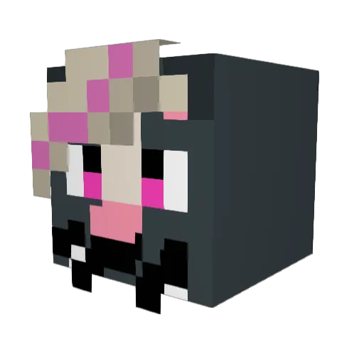 drywallgrass Minecraft avatar head, 3D render