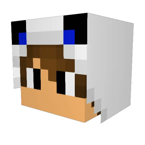 ds1212 Minecraft avatar head, 3D render