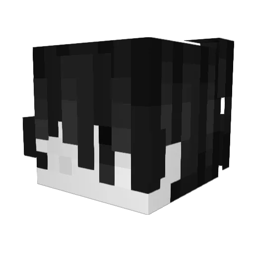 ds1k Minecraft avatar head, 3D render