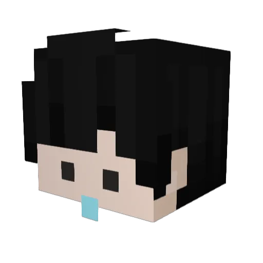 dsam6201 Minecraft avatar head, 3D render