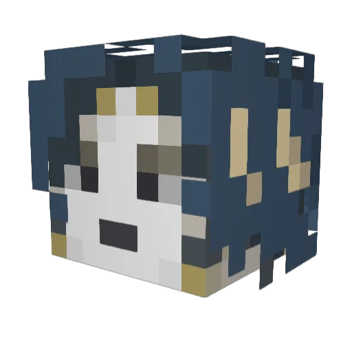 dsboy4 Minecraft avatar head, 3D render