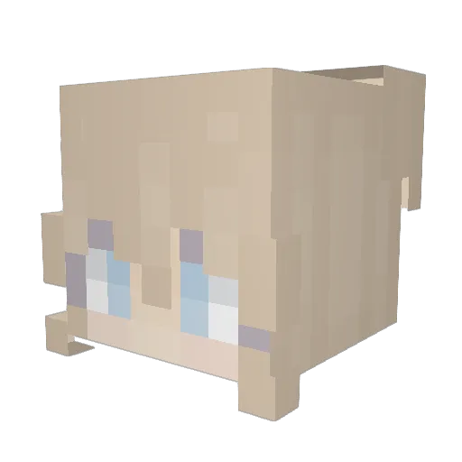 dsce Minecraft avatar head, 3D render