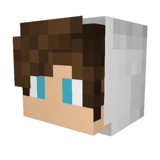 dscoelho Minecraft avatar head, 3D render