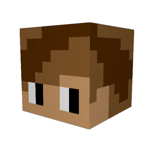 dsdftjj Minecraft avatar head, 3D render