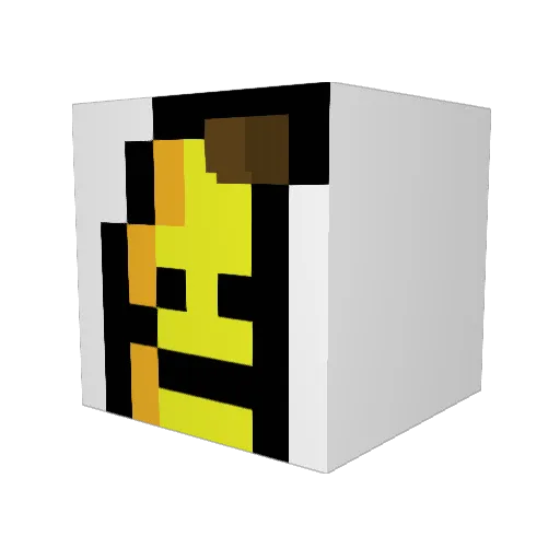 dsds2269 Minecraft avatar head, 3D render