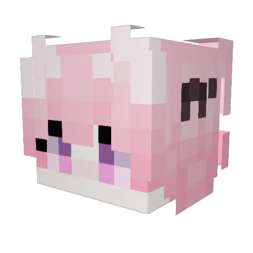 dseeburger Minecraft avatar head, 3D render
