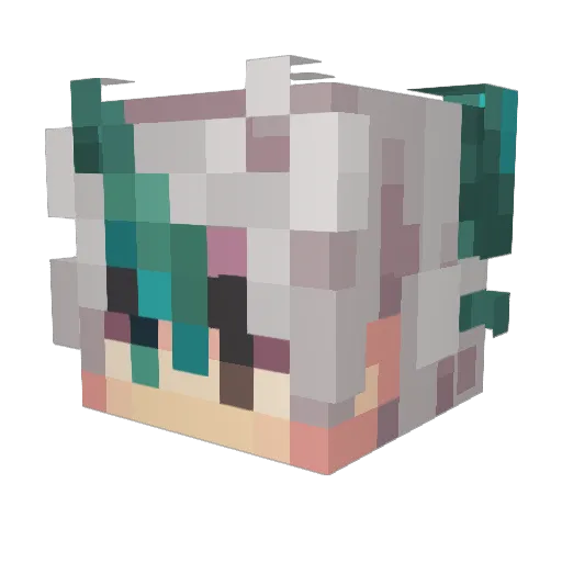 dsgss Minecraft avatar head, 3D render