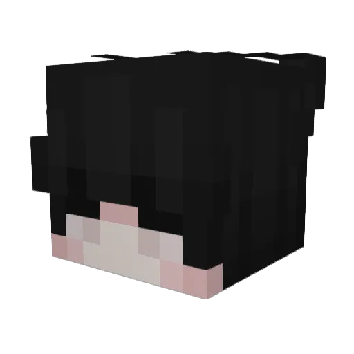 dsii Minecraft avatar head, 3D render