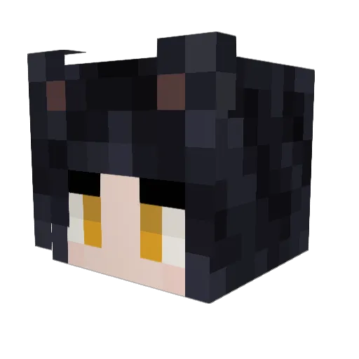 dsimndz Minecraft avatar head, 3D render