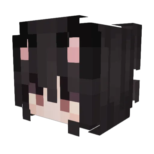 dskprt Minecraft avatar head, 3D render